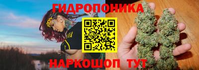 прущие грибы Первоуральск