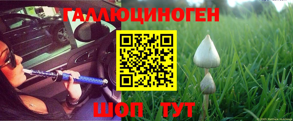 Галлюциногенные грибы мухоморы  Вход с VPN  Галлюциногенные грибы мицелий  Тосно 